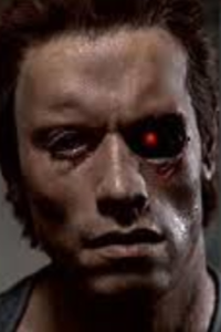 Terminator, The